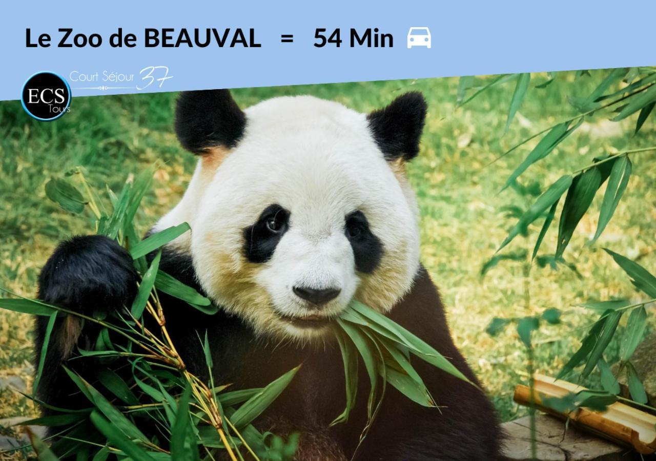 1# Central'tours Bleu - Hypercentre Tours